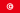 Flag of Republic of Tunisia